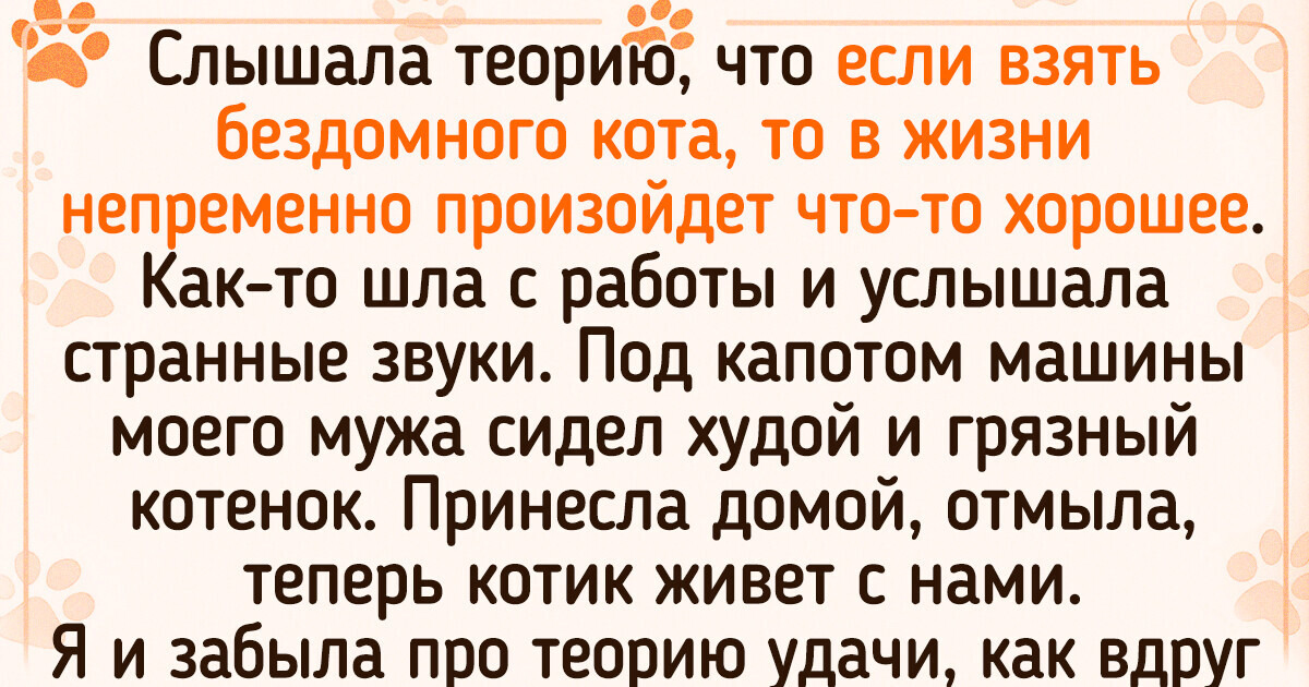 17 человек, в сердце которых прочно поселились усатые и хвостатые питомцы 17 человек, в сердце которых прочно поселились усатые и хвостатые питомцы
