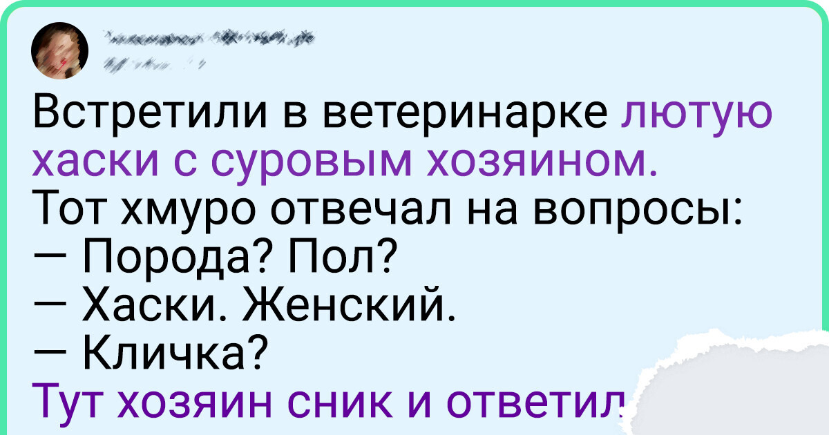 20+ легких твитов о рядовых ситуациях, которые вызывают улыбку 20+ легких твитов о рядовых ситуациях, которые вызывают улыбку