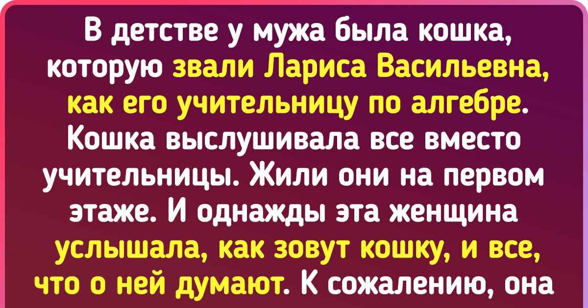 30+ кличек домашних животных, у владельцев которых неутомимая фантазия и своеобразное чувство юмора 30+ кличек домашних животных, у владельцев которых неутомимая фантазия и своеобразное чувство юмора