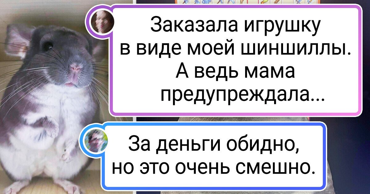 15 человек, чьи ожидания и рядом не стояли с реальностью 15 человек, чьи ожидания и рядом не стояли с реальностью