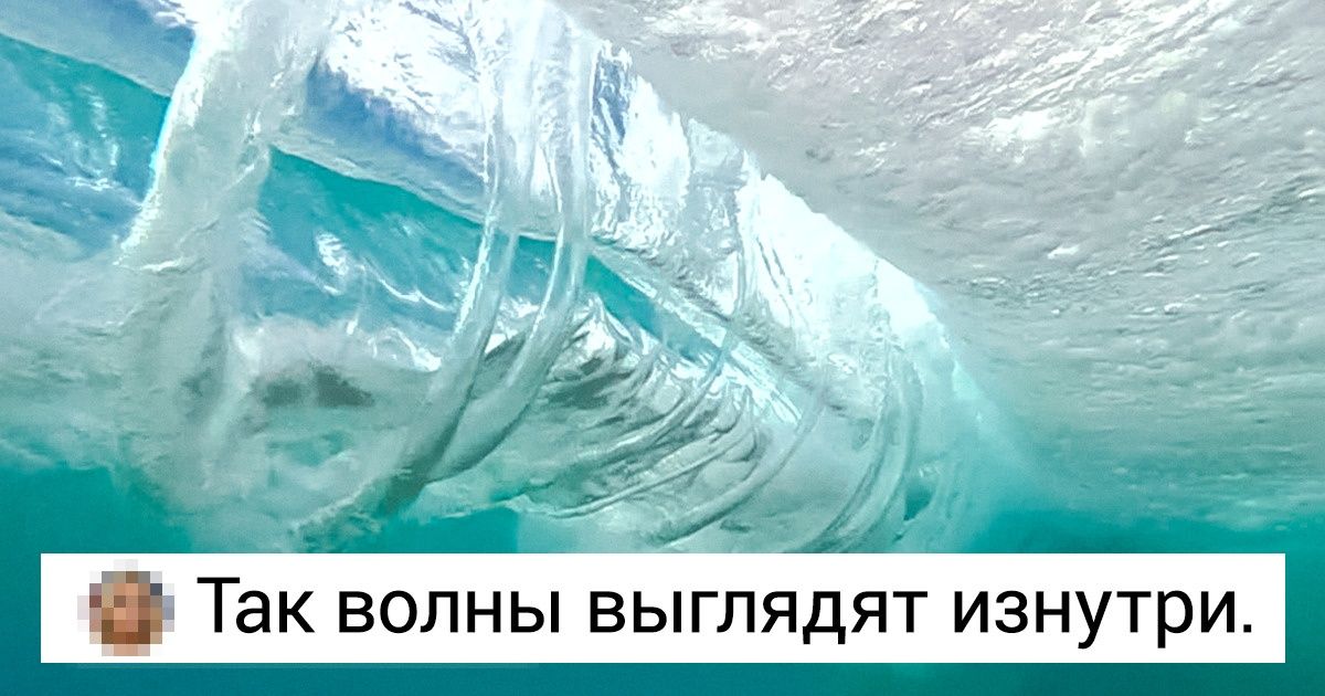 20 фотографий, которые покажут мироустройство лучше, чем Discovery 20 фотографий, которые покажут мироустройство лучше, чем Discovery