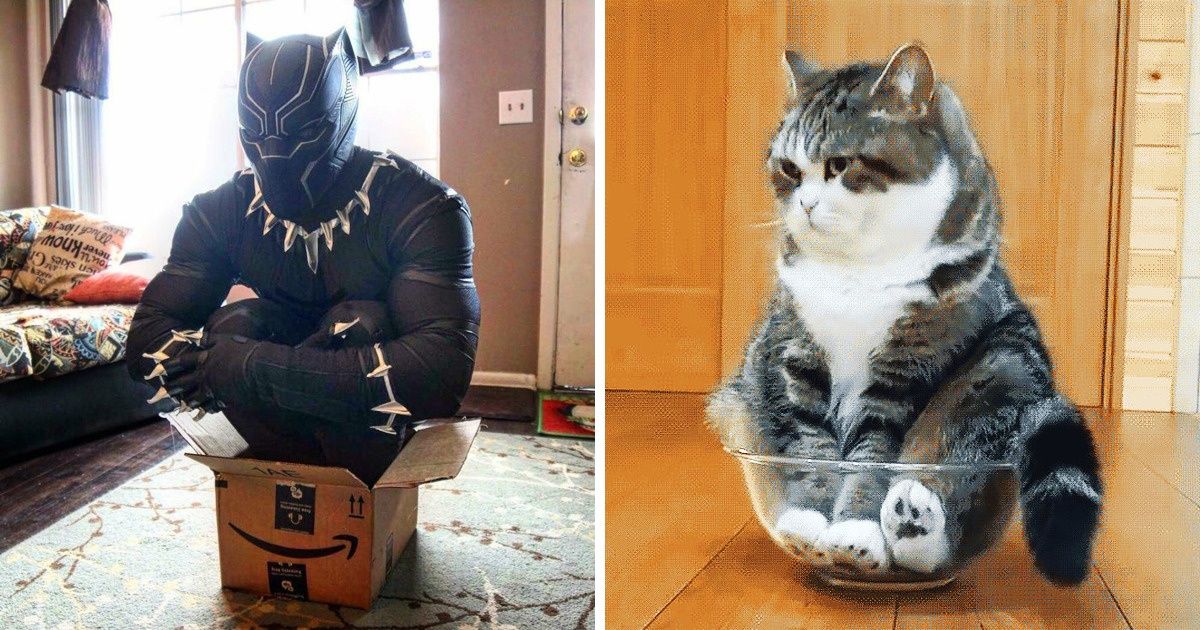 20 фотографий, которые противоречат всякой логике, но в этом-то и есть вся соль 20 фотографий, которые противоречат всякой логике, но в этом-то и есть вся соль