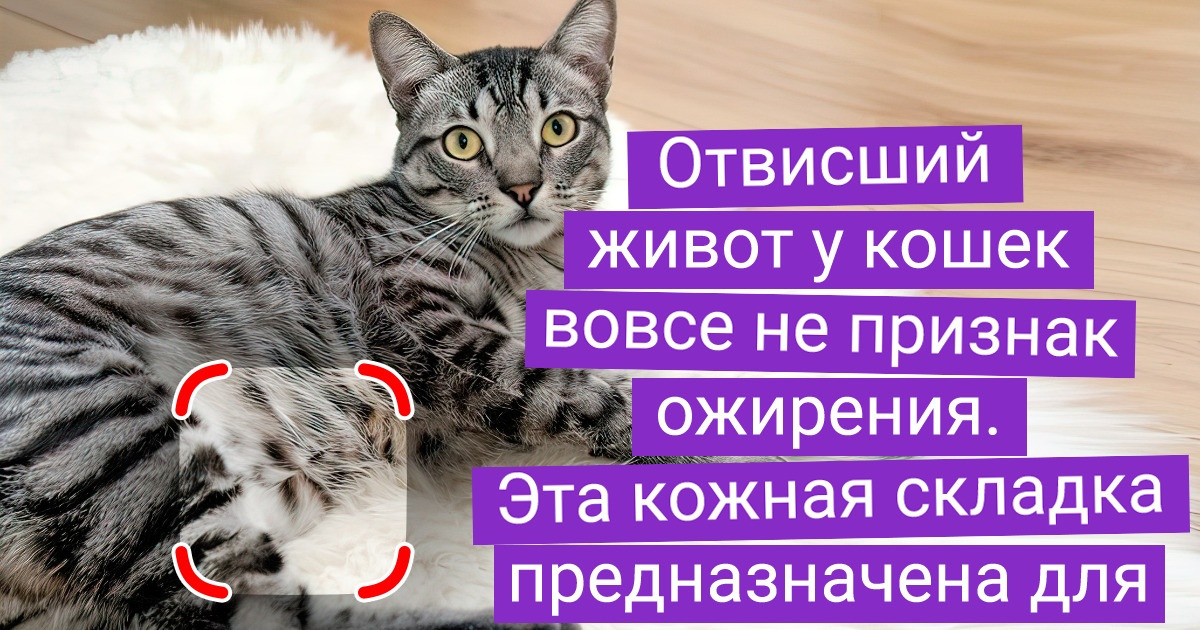 18 свеженьких фактов про животных, от которых и обалдеть недолго