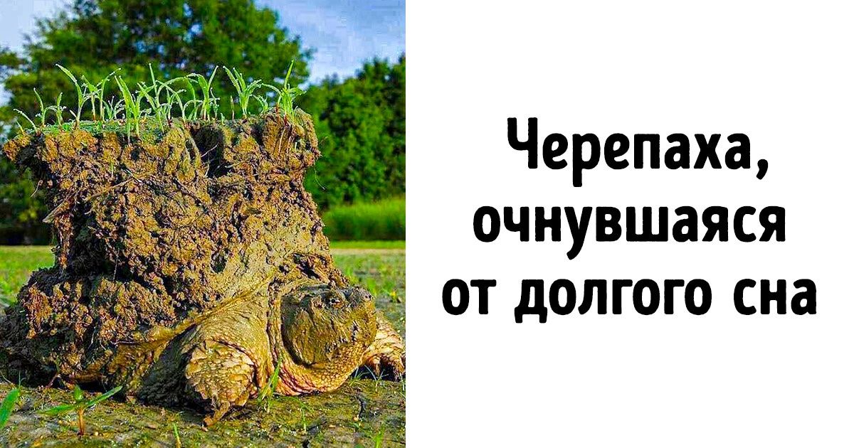 17 фотографий, которые помогают лучше понять этот мир