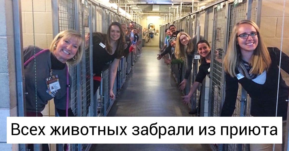 20 фото, от которых станет теплее даже в морозный день