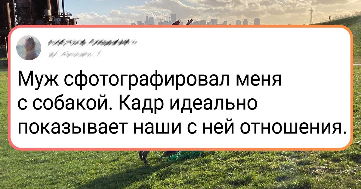 26 ситуаций, которые по-настоящему поймет только кошатник или собачник со стажем 26 ситуаций, которые по-настоящему поймет только кошатник или собачник со стажем
