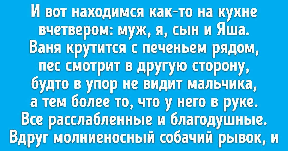 «Он был мне как брат». Трогательный рассказ о том, как подружились маленький ребенок и неугомонная собака «Он был мне как брат». Трогательный рассказ о том, как подружились маленький ребенок и неугомонная собака