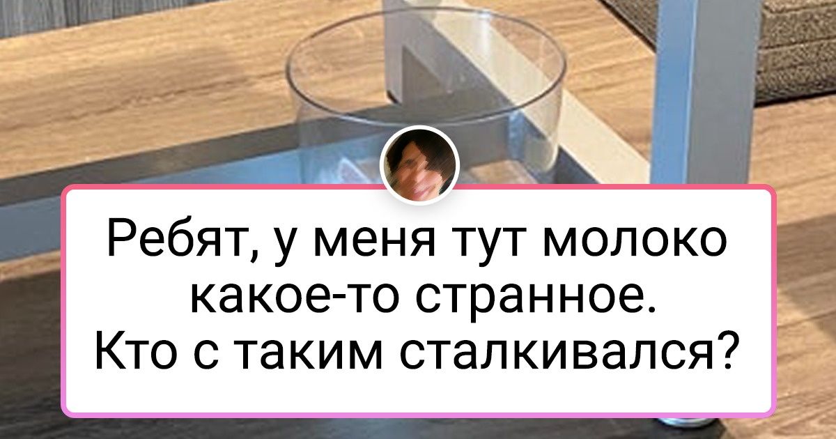 17 уморительных доказательств того, что котики — это жидкость 17 уморительных доказательств того, что котики — это жидкость