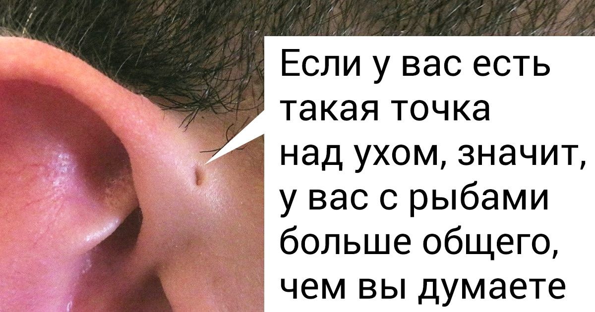7 фактов о человеке, которые знают только антропологи 7 фактов о человеке, которые знают только антропологи