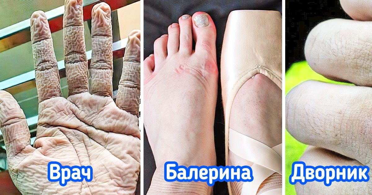 25+ человек без прикрас показали, что стоит за их работой на самом деле 25+ человек без прикрас показали, что стоит за их работой на самом деле