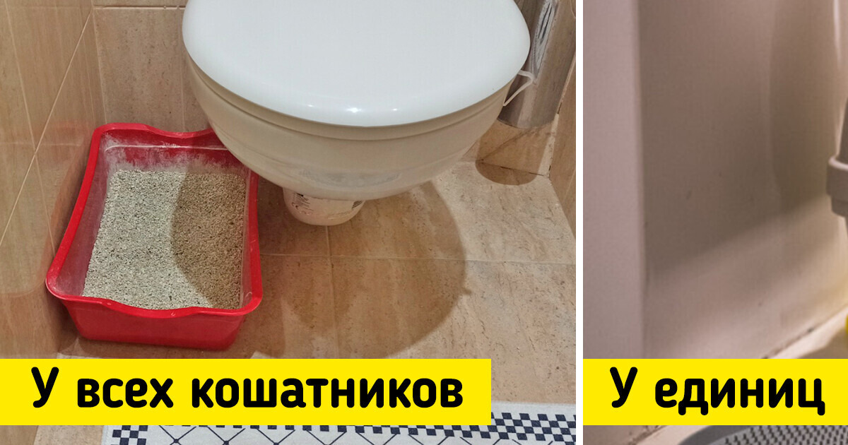 12 вещей, на которые стоит один раз раскошелиться, чтобы потом радоваться и ни о чем не жалеть 12 вещей, на которые стоит один раз раскошелиться, чтобы потом радоваться и ни о чем не жалеть