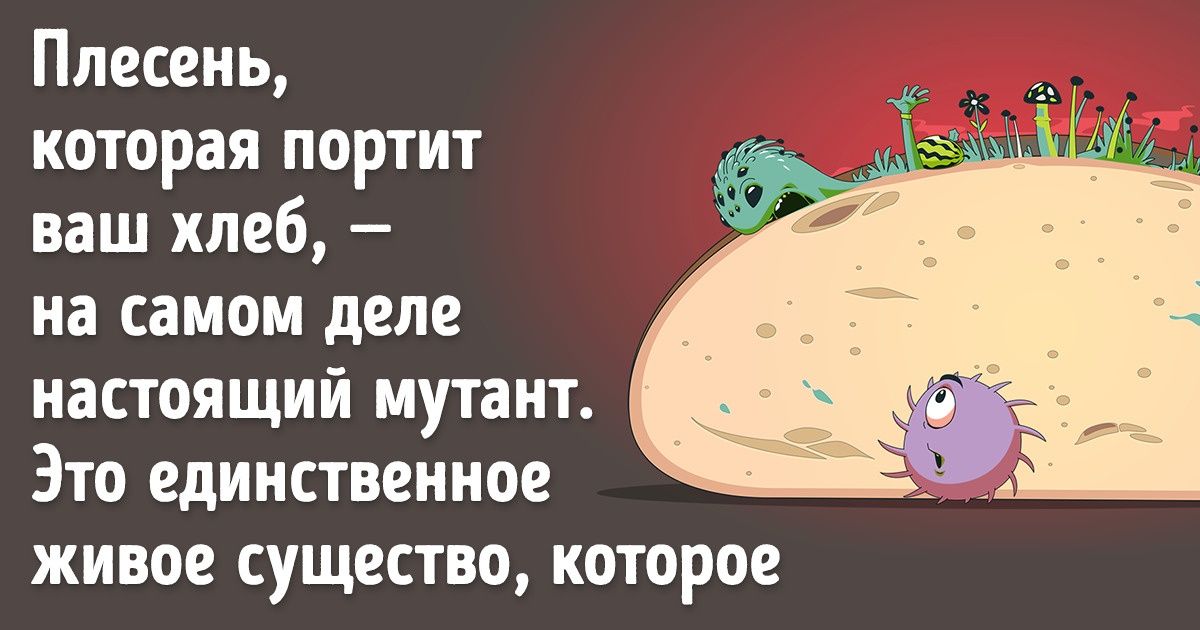 12 фактов о поражающем воображение микромире, скрытом от наших глаз