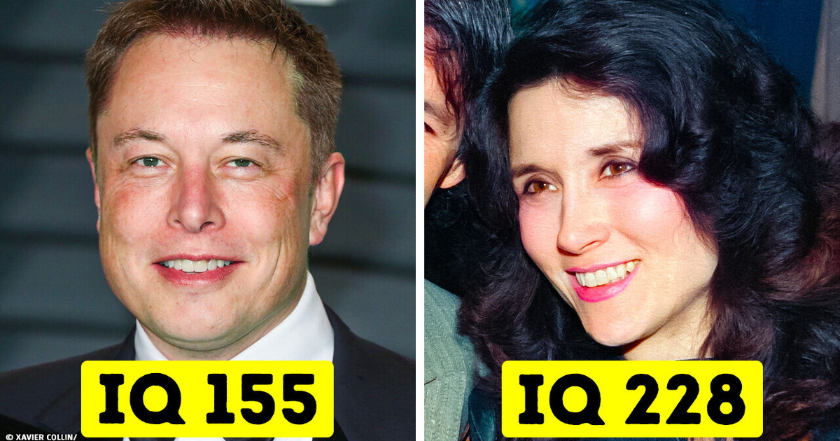 Самый умный человек на свете — почему никто о ней не говорит? Самый умный человек на свете — почему никто о ней не говорит?