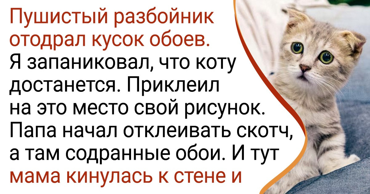 17 домашних питомцев, которых себе в соседи люди явно не заказывали