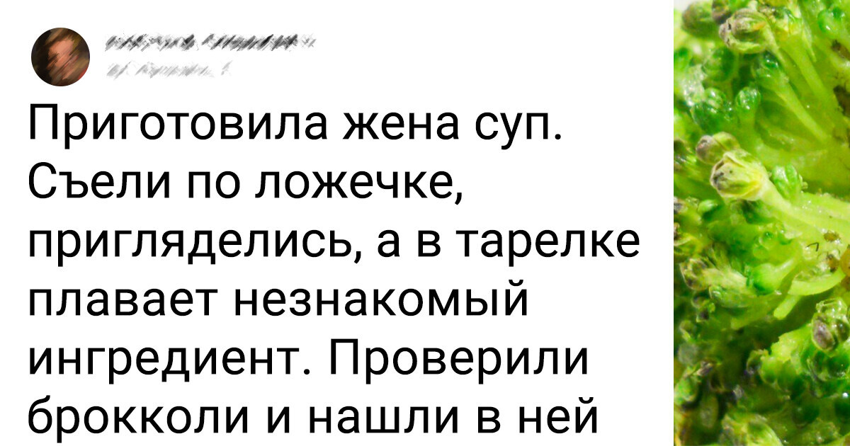 9 продуктов, которые мы неправильно моем. И даже не догадываемся об этом 9 продуктов, которые мы неправильно моем. И даже не догадываемся об этом