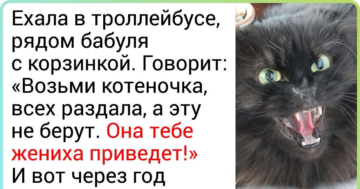 20+ человек, которые вместо элитного питомца рискнули взять беспородного хвостика — и сорвали куш