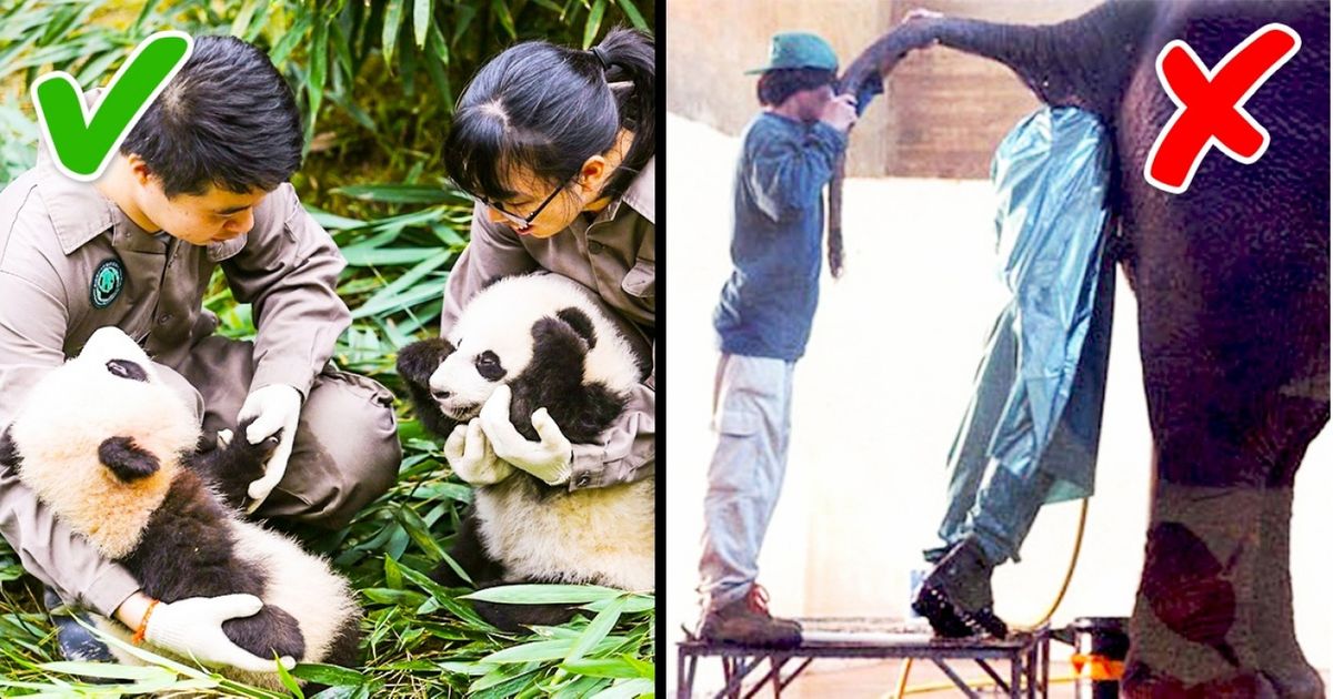 15 правильных вопросов на собеседовании, которые помогут найти работу мечты 15 правильных вопросов на собеседовании, которые помогут найти работу мечты