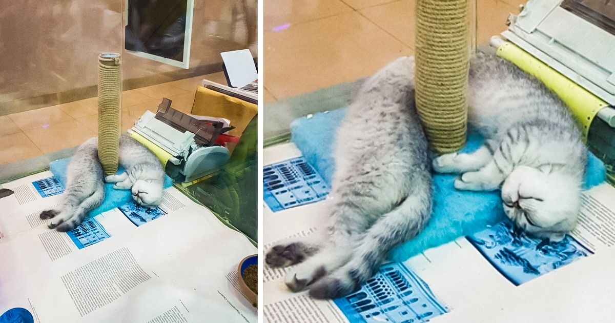 15 фото, после которых хочется протереть глаза и взглянуть на них еще раз 15 фото, после которых хочется протереть глаза и взглянуть на них еще раз