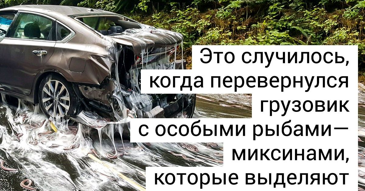 20 фотографий, которые требуют немедленного объяснения случившемуся (И оно у нас есть) 20 фотографий, которые требуют немедленного объяснения случившемуся (И оно у нас есть)