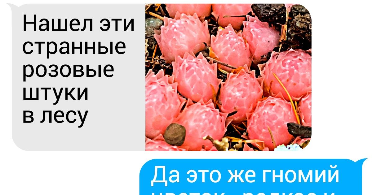 18 человек, которые просто смотрели по сторонам, а нашли природные феномены