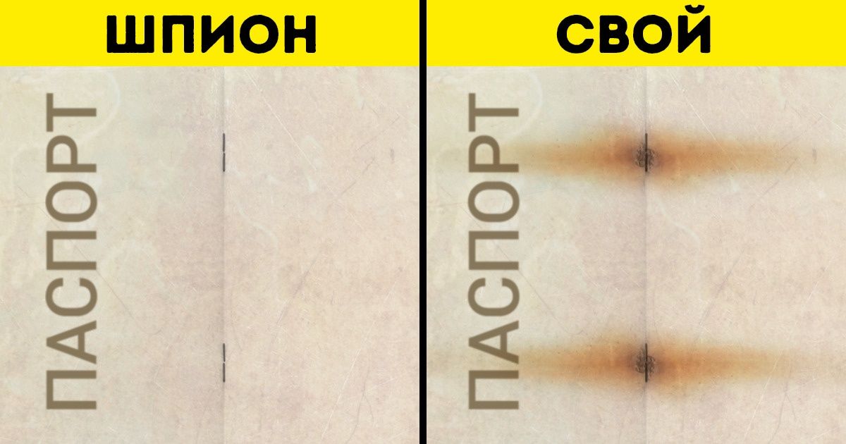 10 особенностей паспортов разных стран (Стать гражданином мира не так уж сложно. Но есть ли смысл?)