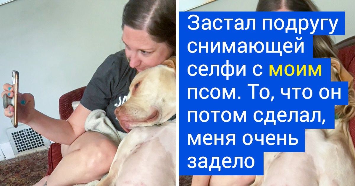 17 питомцев, которые доказали, что ничто человеческое им не чуждо