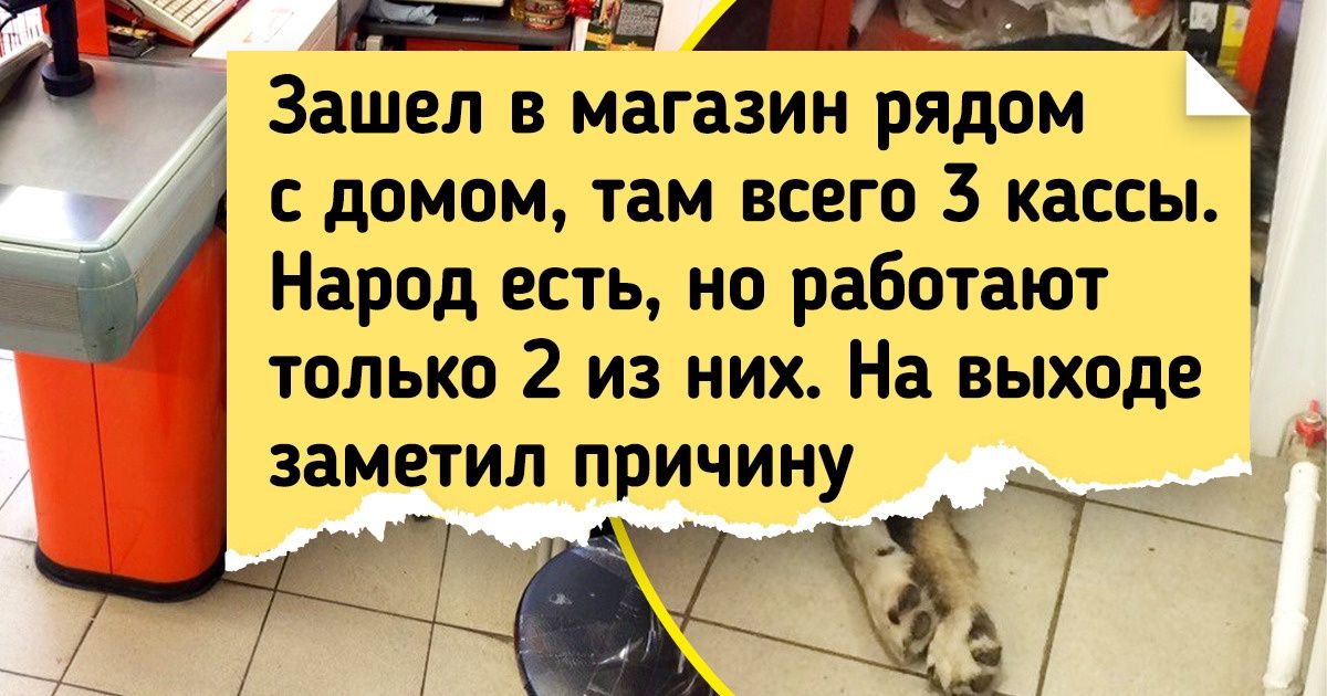 Мы набрали снега растопили его на огне и выпили немного горячей воды запятые