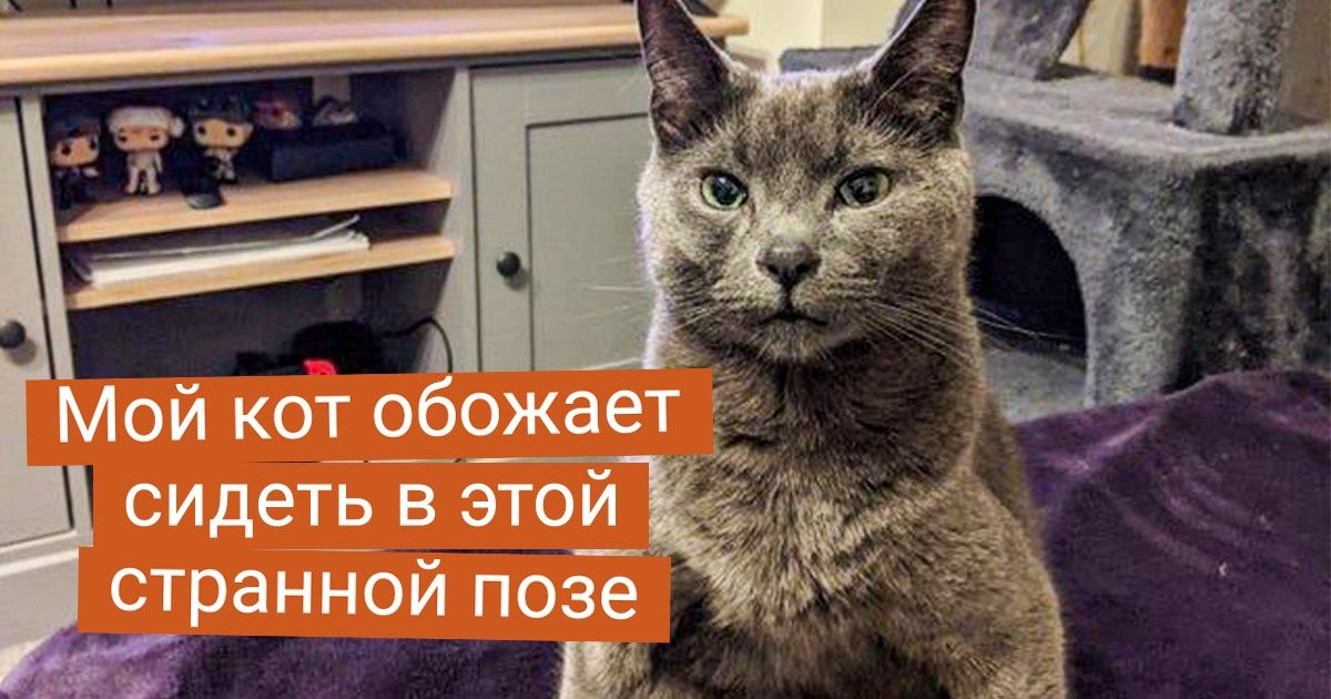 15+ явлений, которые не каждый день увидишь