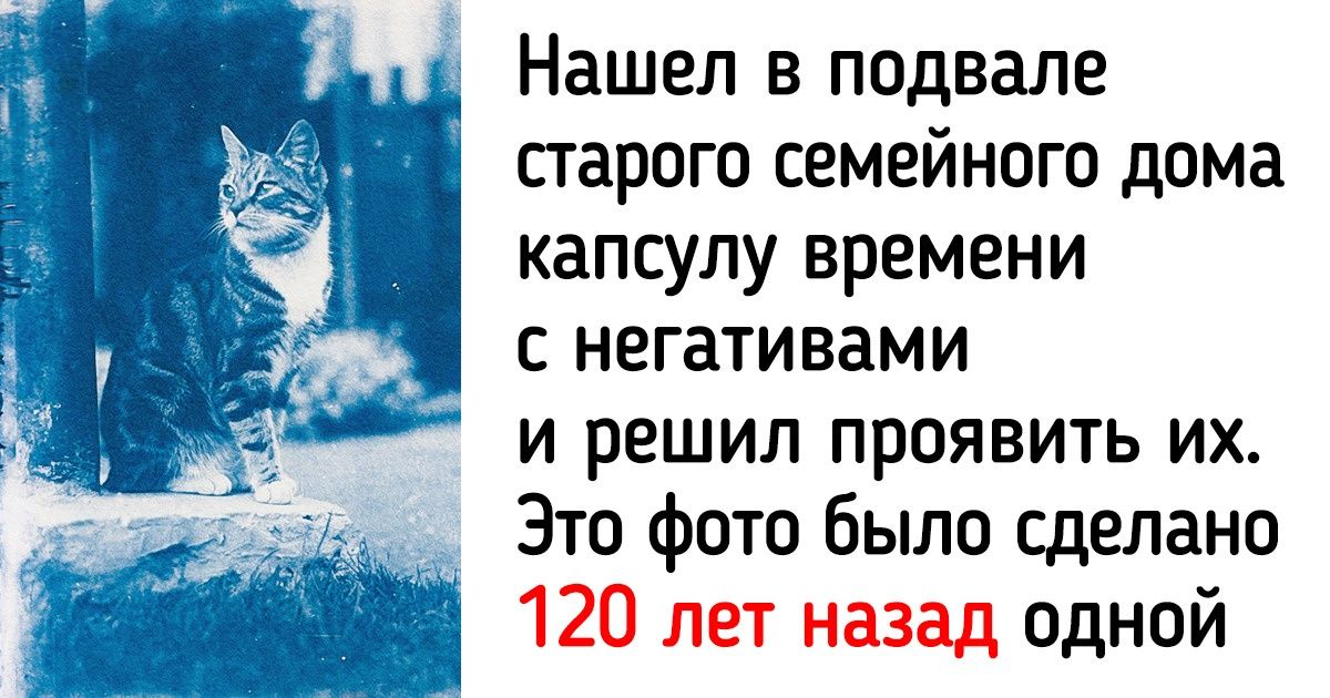 20+ находок людей, которые настолько крутые, что о них нельзя было умолчать 20+ находок людей, которые настолько крутые, что о них нельзя было умолчать