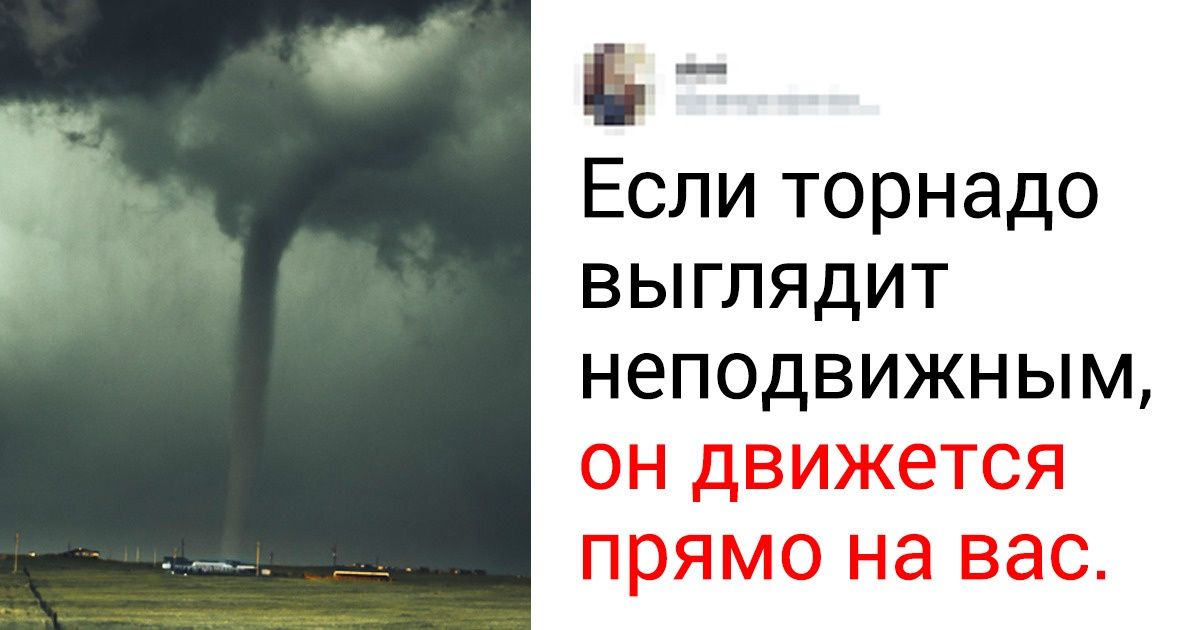 Пользователи интернета поделились законами выживания, которые нужно запомнить раз и навсегда