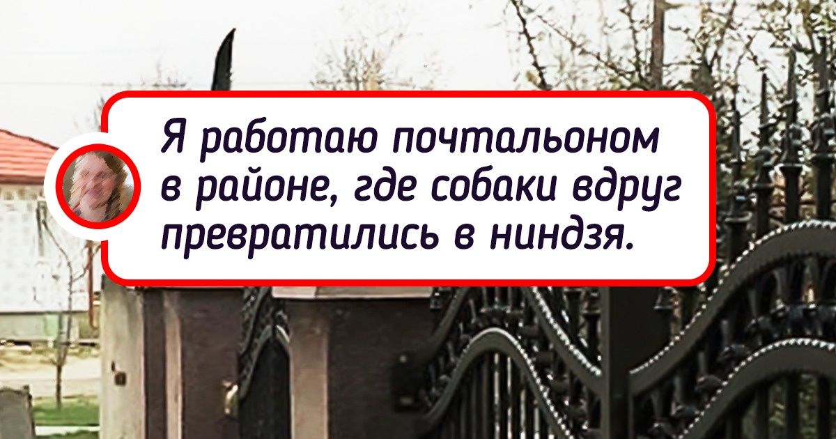 18 человек, чье терпение нужно срочно отправить в ремонт 18 человек, чье терпение нужно срочно отправить в ремонт