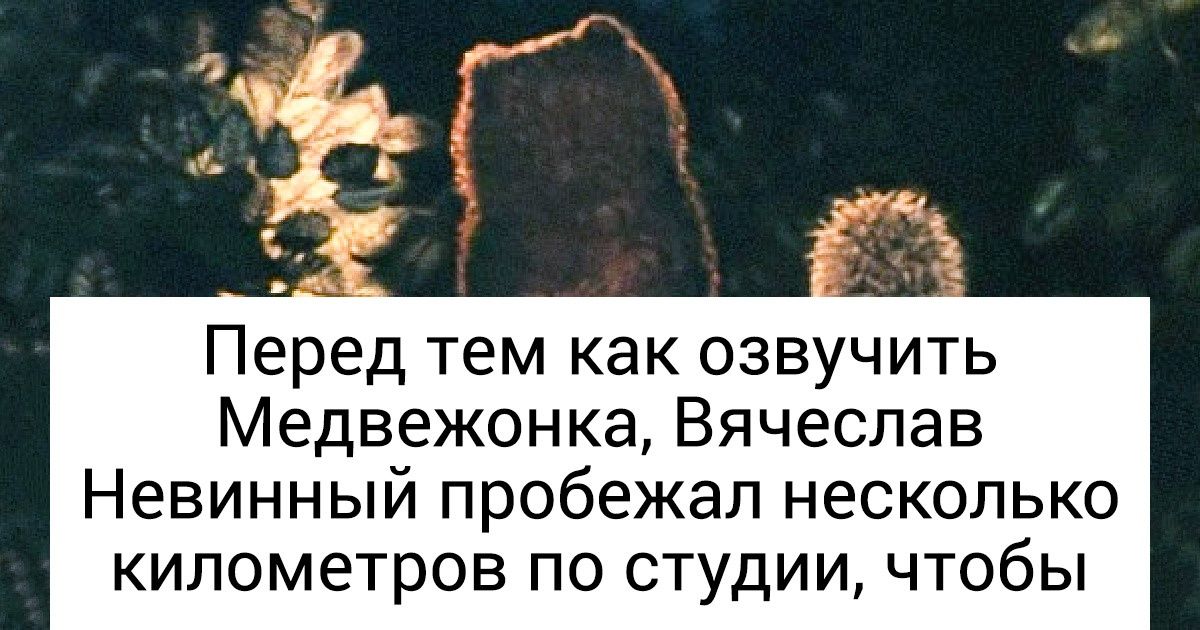 Как снимали «Ежика в тумане» — мультфильм, который признали лучшим анимационным фильмом всех времен и народов