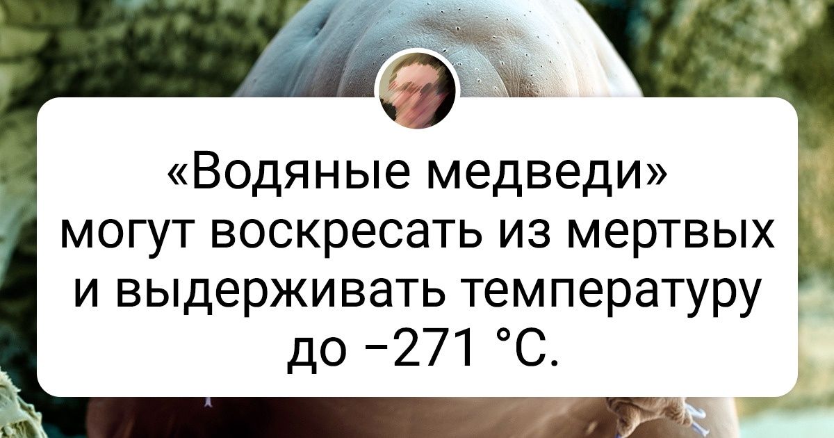 20+ животных с суперспособностями, которым позавидовали бы даже герои комиксов Marvel