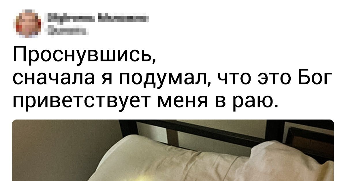 17 человек, чей ангел-хранитель ушел в отпуск и не обещал вернуться 17 человек, чей ангел-хранитель ушел в отпуск и не обещал вернуться