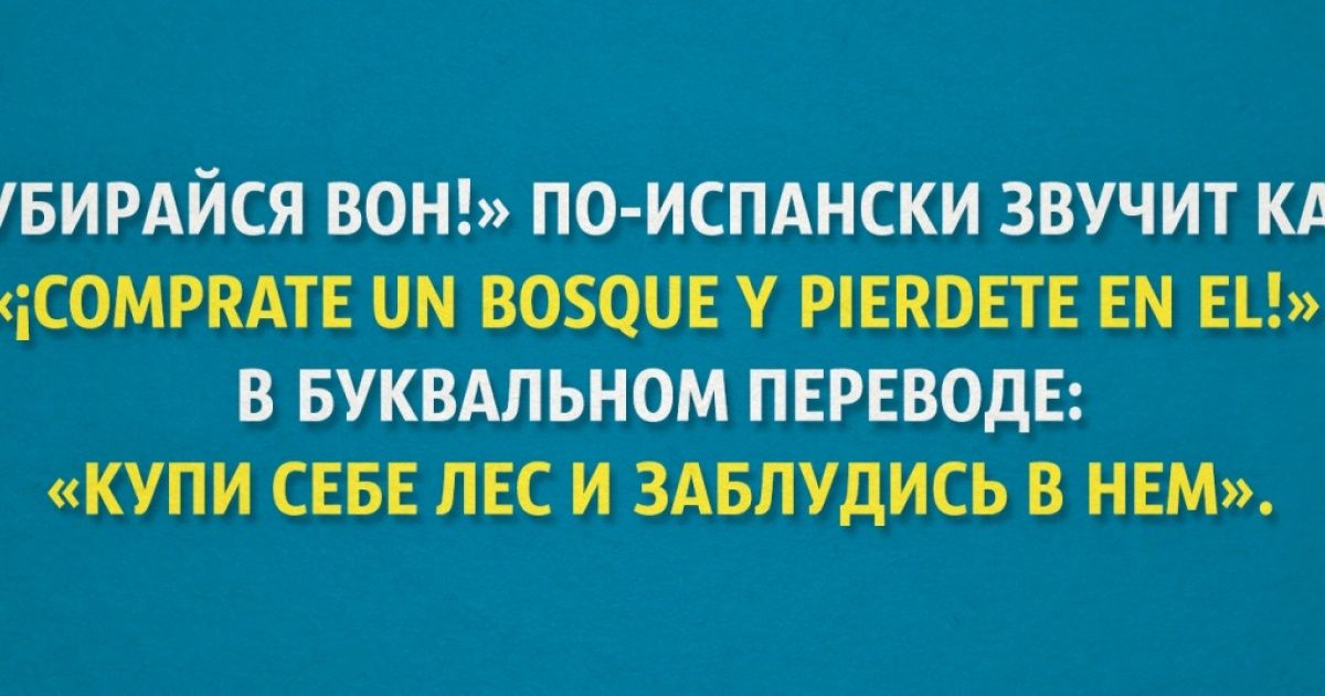 «Купи себе лес и заблудись в нем». И еще 20 идиом со всего мира
