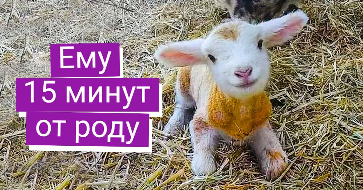 20+ снимков, которые обязательны к просмотру каждому, кому вдруг взгрустнулось