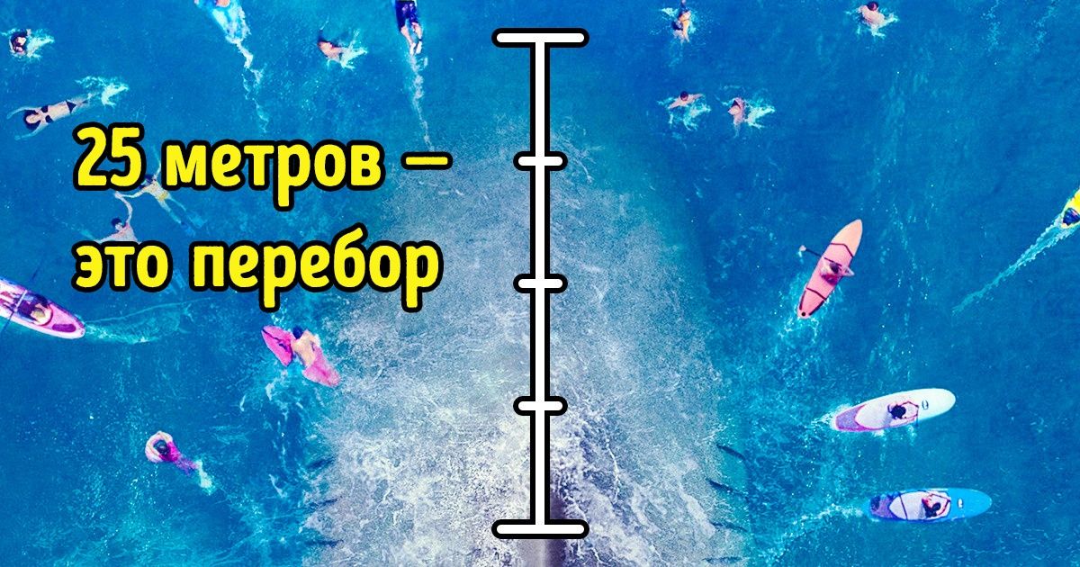 10 ляпов в фильмах с эпизодами борьбы человека и животного 10 ляпов в фильмах с эпизодами борьбы человека и животного