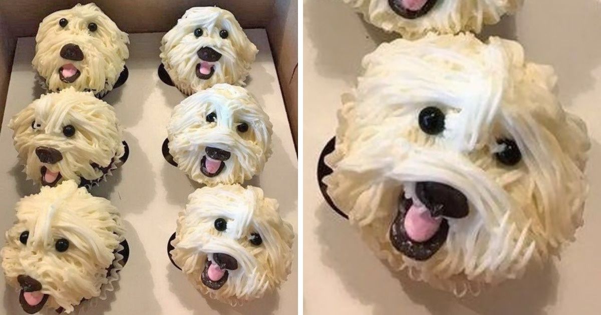 16 запредельно крутых десертов, созданных настоящими профи