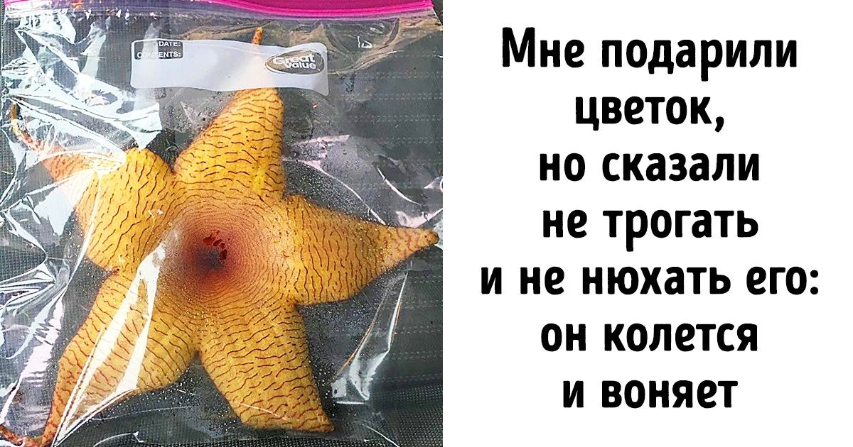 20+ случаев, когда развязка оказалась гораздо занимательнее самой истории 20+ случаев, когда развязка оказалась гораздо занимательнее самой истории