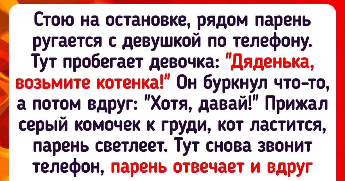18 пушистых, с которыми жизнь может заиграть сразу всеми красками 18 пушистых, с которыми жизнь может заиграть сразу всеми красками