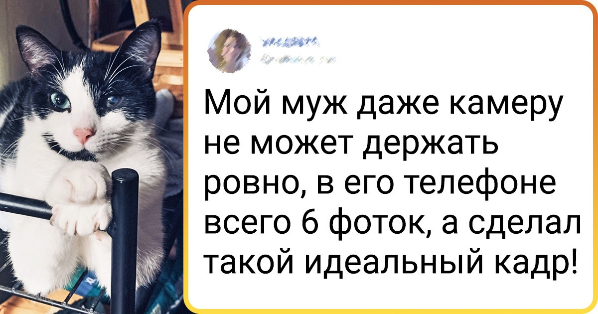 20+ человек сделали снимки своих питомцев, которыми не стыдно похвастаться всему интернету