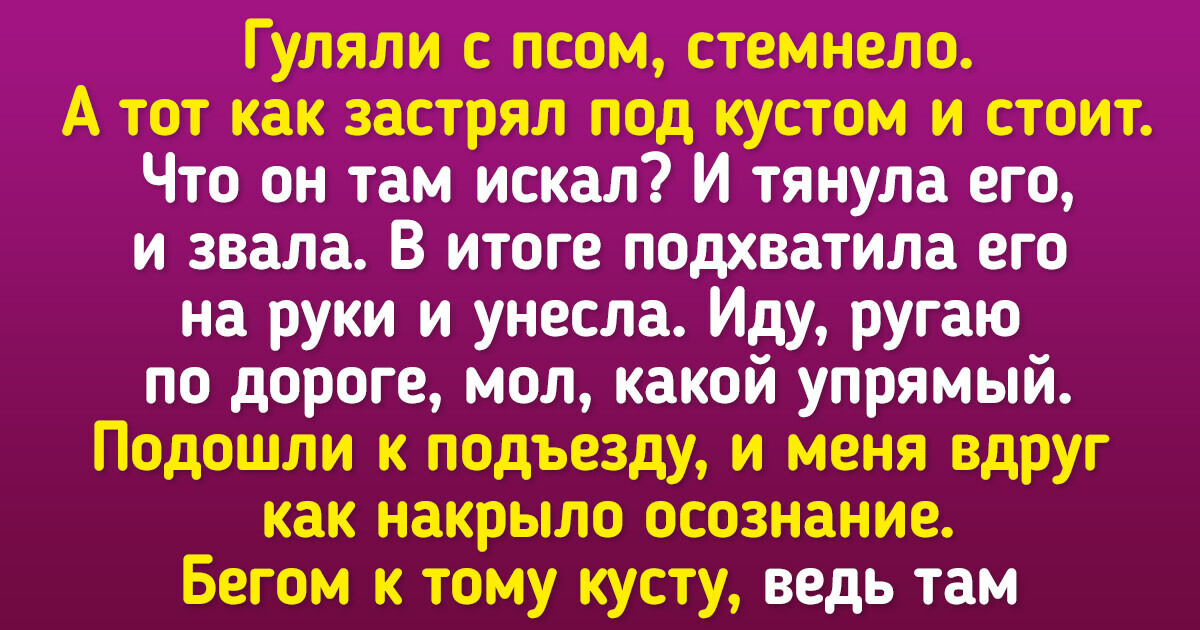 15+ занимательных историй о том, как питомцы проявили свою смекалку