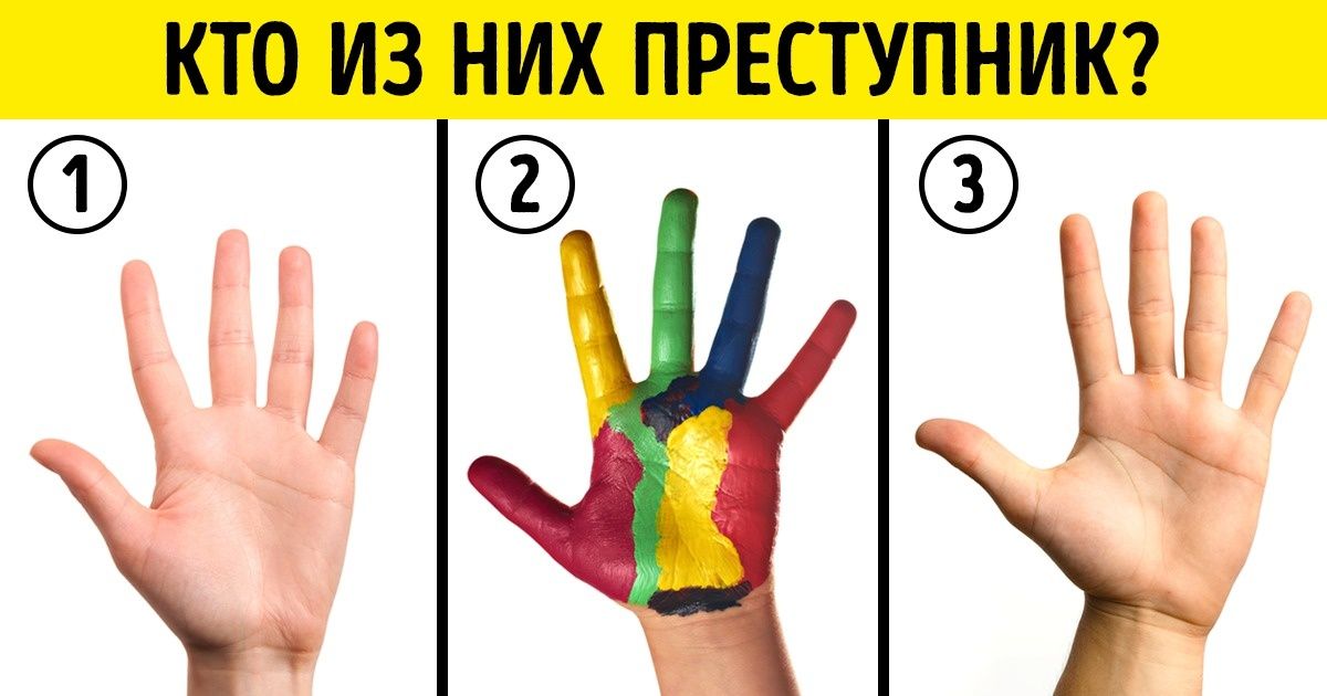 5 задачек, для решения которых вам понадобятся и логика, и смекалка, и даже фантазия