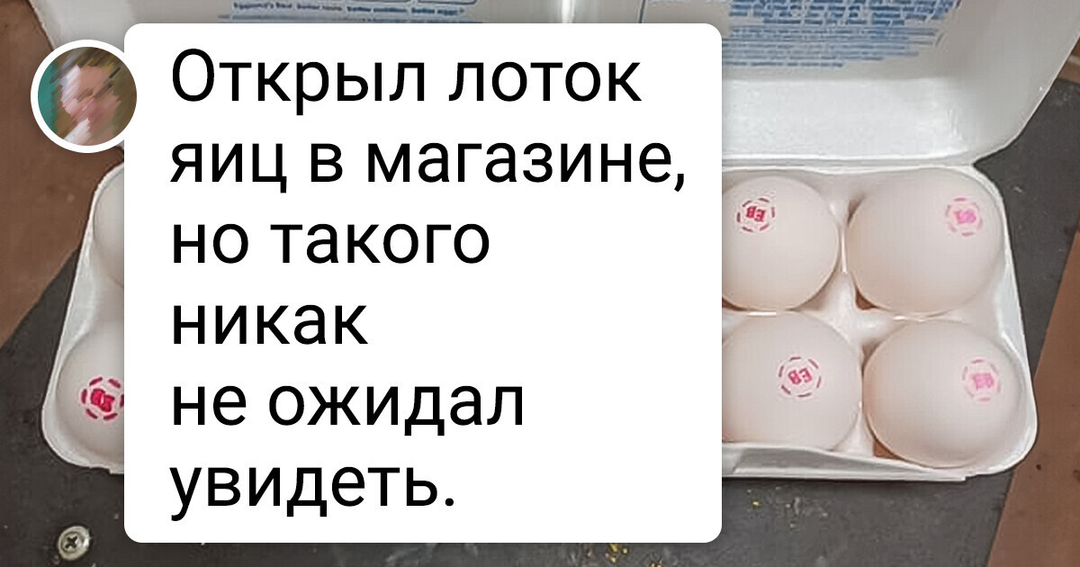 15+ примеров того, что жизнь вокруг нас полна сюрпризов