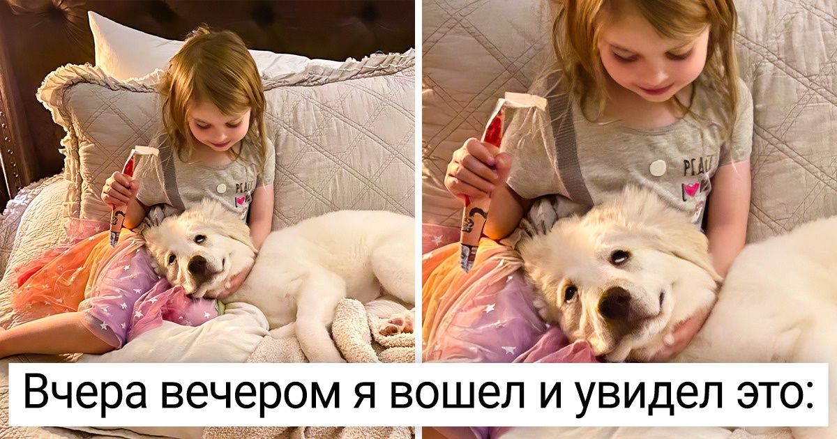 20 фотографий, которые доказывают, что дети и животные — друзья на всю жизнь