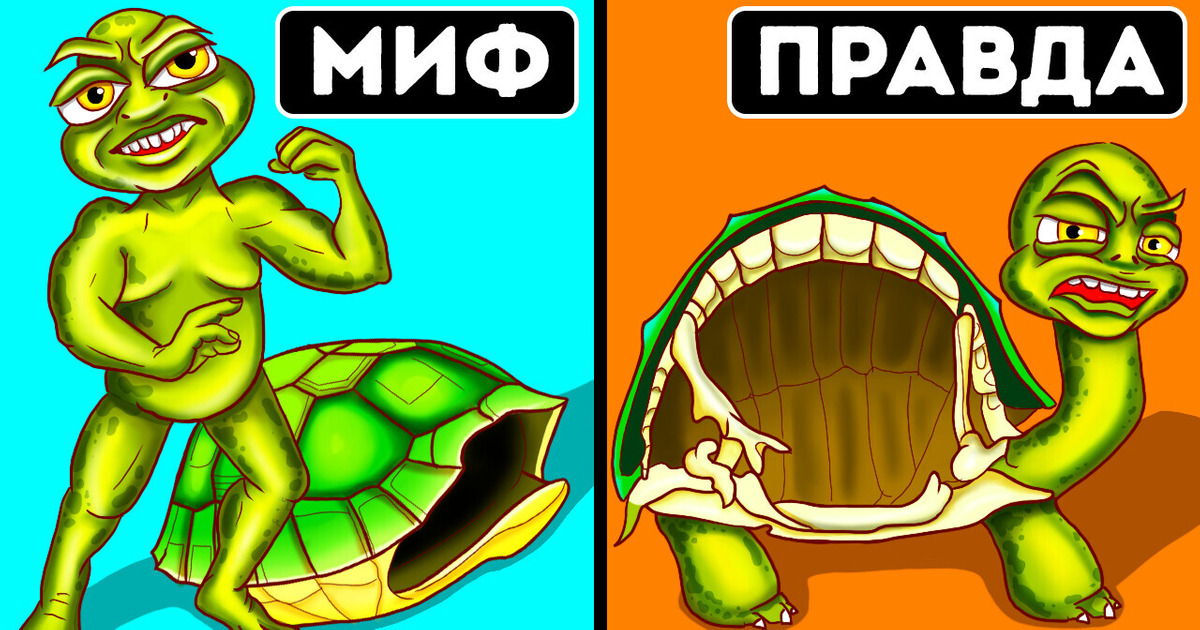 Вы слышали это всю жизнь, но это миф
