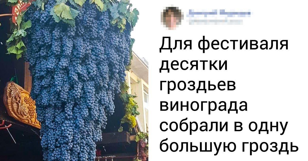 19 фото природы, которые не стыдно добавить в школьные учебники 19 фото природы, которые не стыдно добавить в школьные учебники