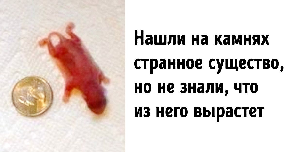 15+ обалденных находок, которые стали полной неожиданностью для их обладателей 15+ обалденных находок, которые стали полной неожиданностью для их обладателей