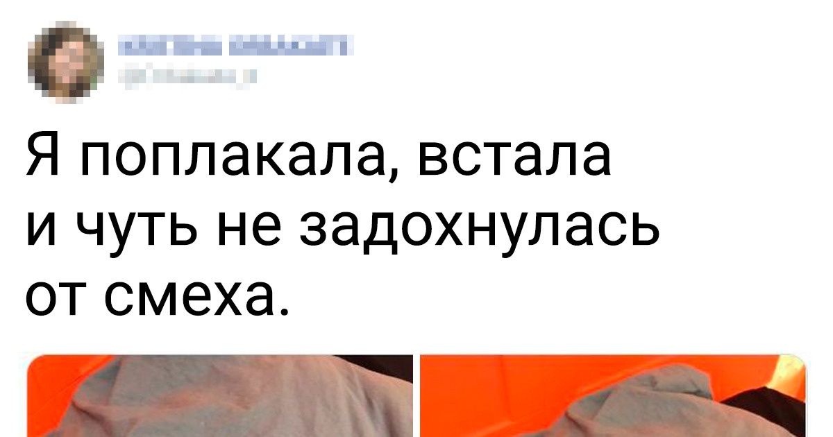 20 случаев, когда уровень самоиронии перешел все допустимые пределы 20 случаев, когда уровень самоиронии перешел все допустимые пределы
