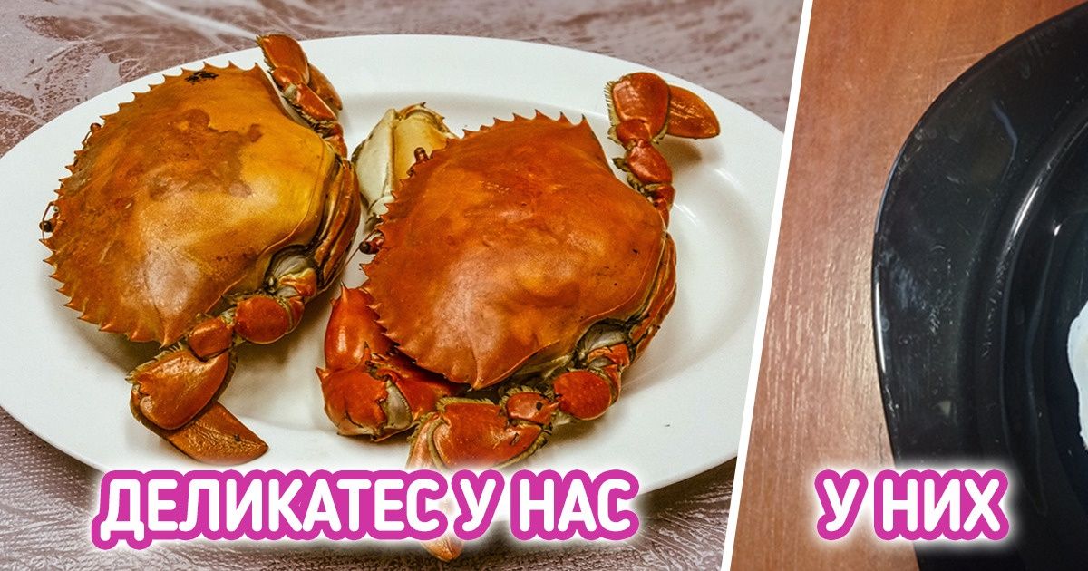 11 доказательств того, что жизнь на Сейшелах не такая уж и сказочная, как мы привыкли думать